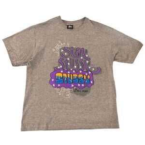 Y2k Vintage Stussy Gray Graphic Grafiti TShirt Cropped 19x23